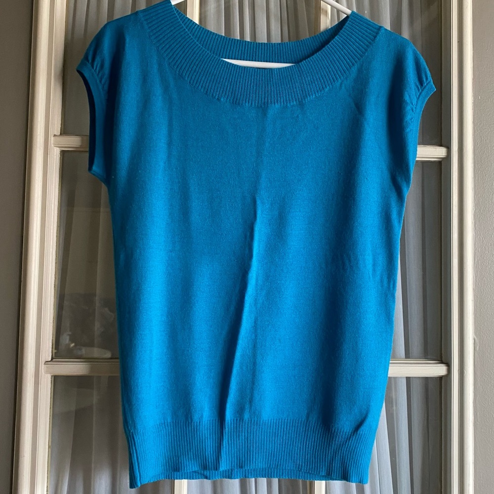 The Limited Turquoise Sleeveless Ribbed Trim Sweater